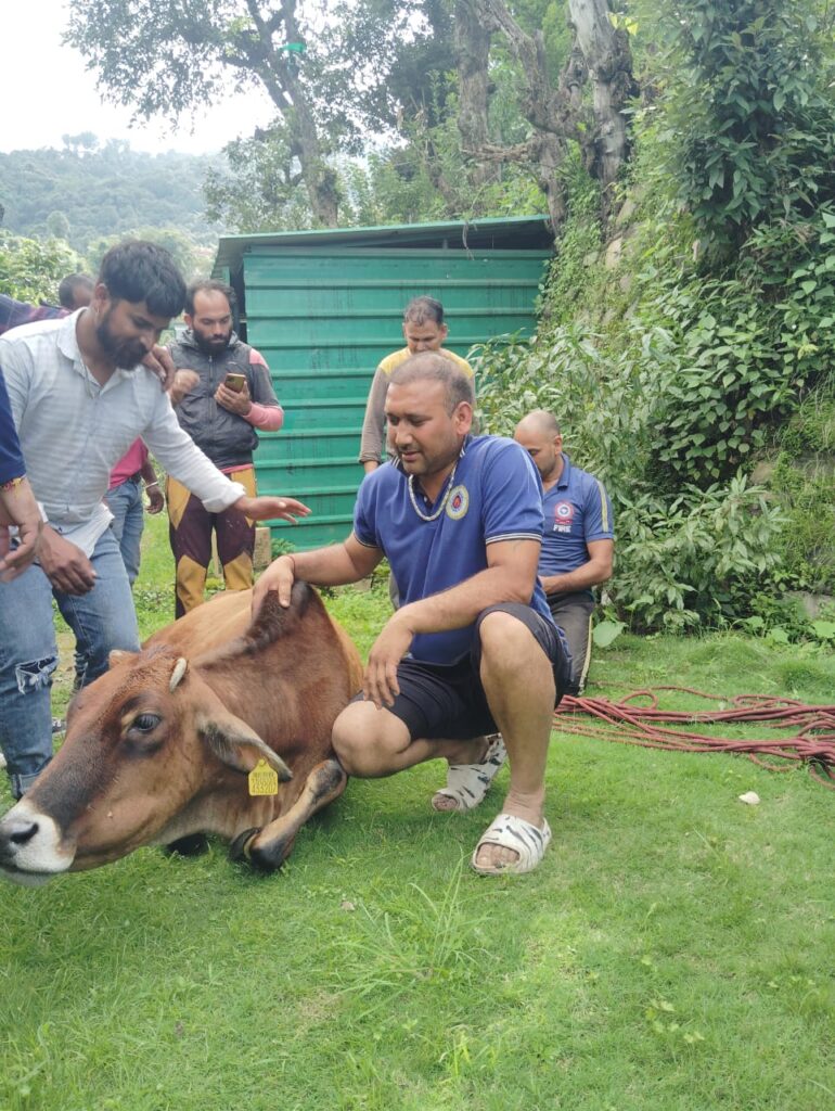 भिलाडू क्षेत्र में एक गाय गहरी खाई में तीन दिनों से गिरी थी। अग्निशमन विभाग, पुलिस व नगर पालिका द्वारा गहरी खाई से निकाला गाय को